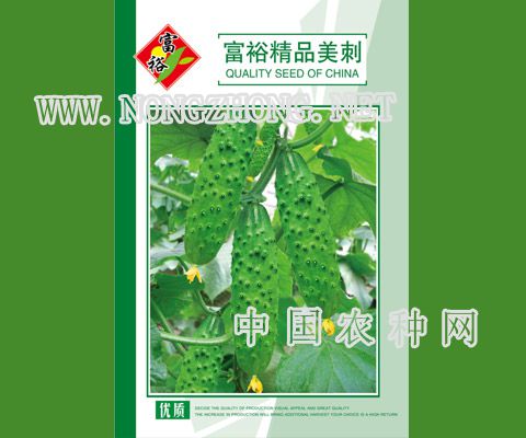 富裕精品美刺
